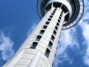 auckland (12)